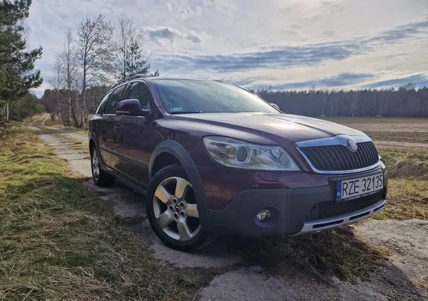 podkarpackie Skoda Octavia cena 25300 przebieg: 316550, rok produkcji 2009 z Siedliszcze